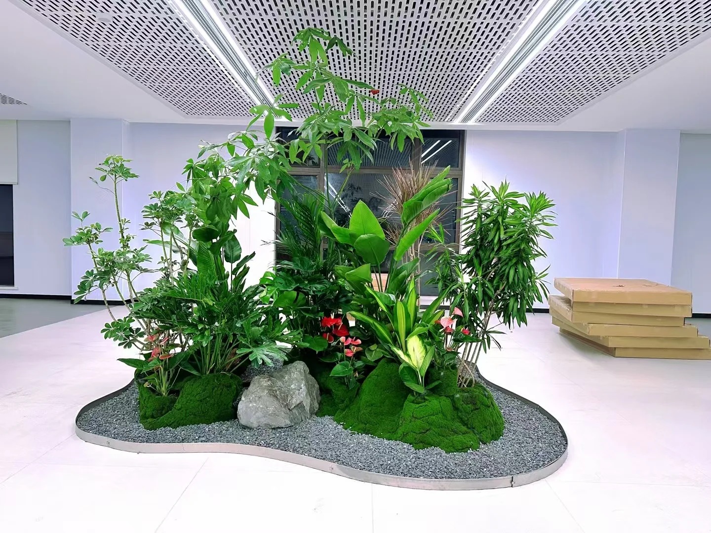 余姚盆景租摆，开启精致景观租赁新体验